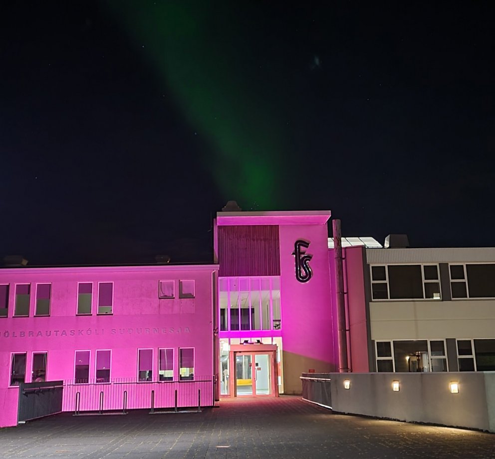 Bleikur FS í október