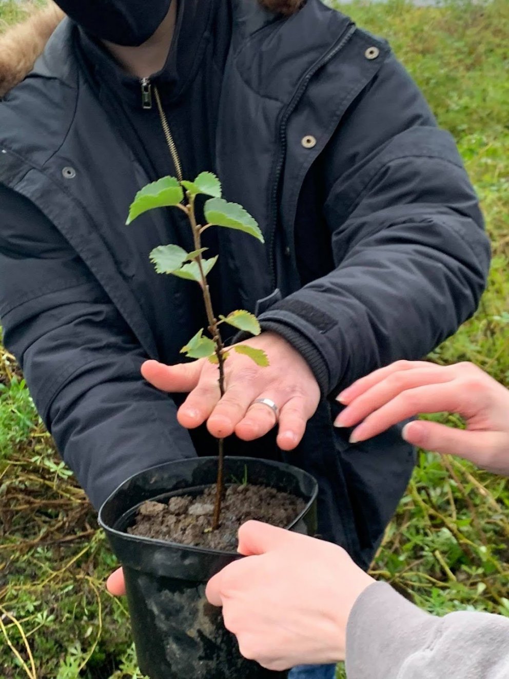 Gróðursetning á haustönn 2021