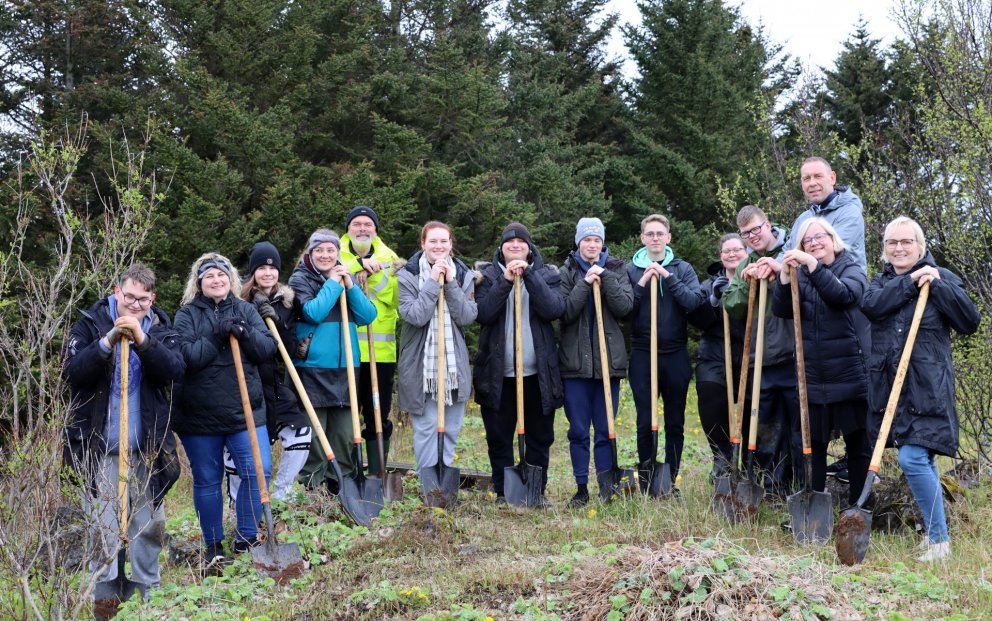 Gróðursetning í vorveðri