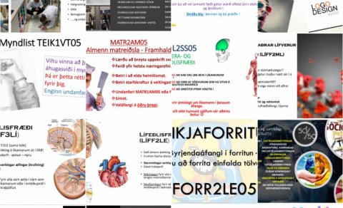 Valið er hafið - upplýsingar