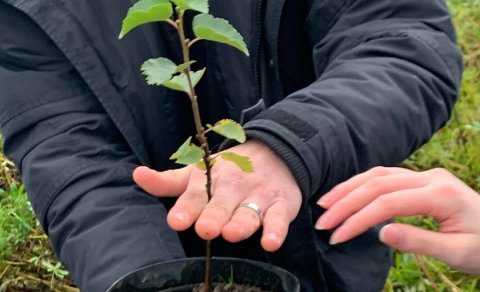 Gróðursetning á haustönn 2021